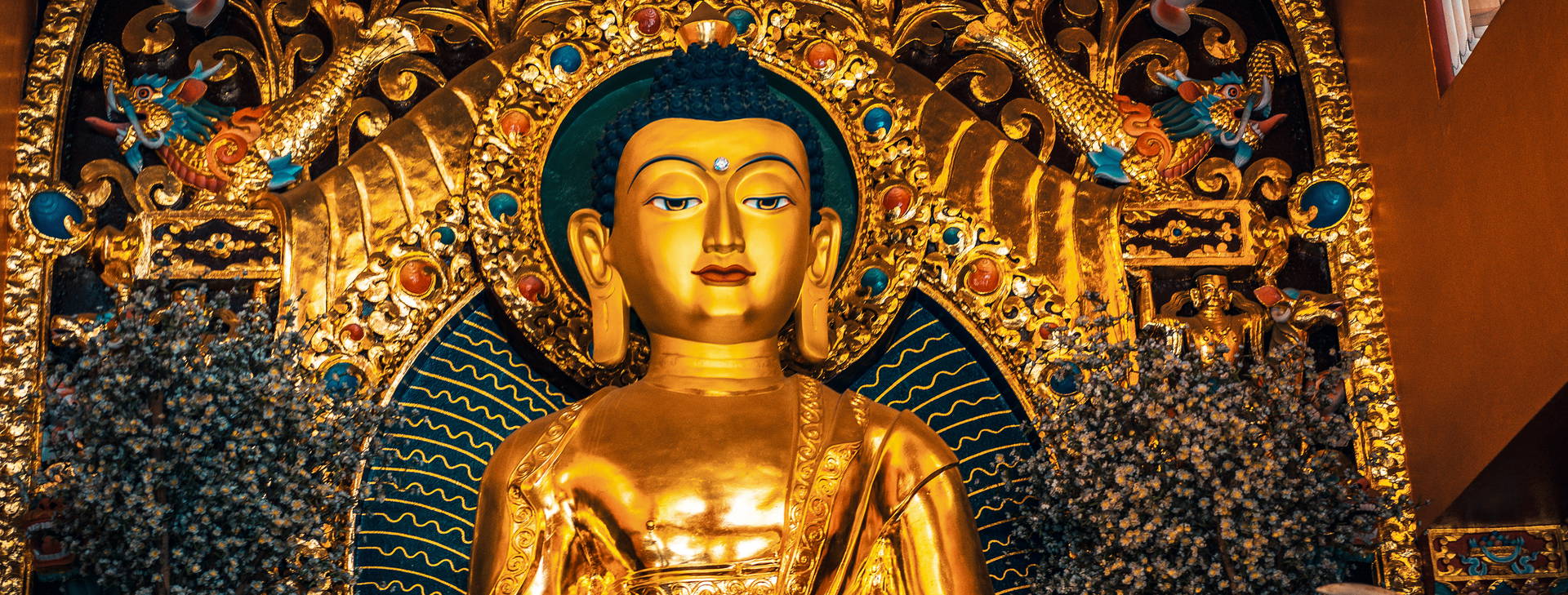 Ubytování INN Obrázek33