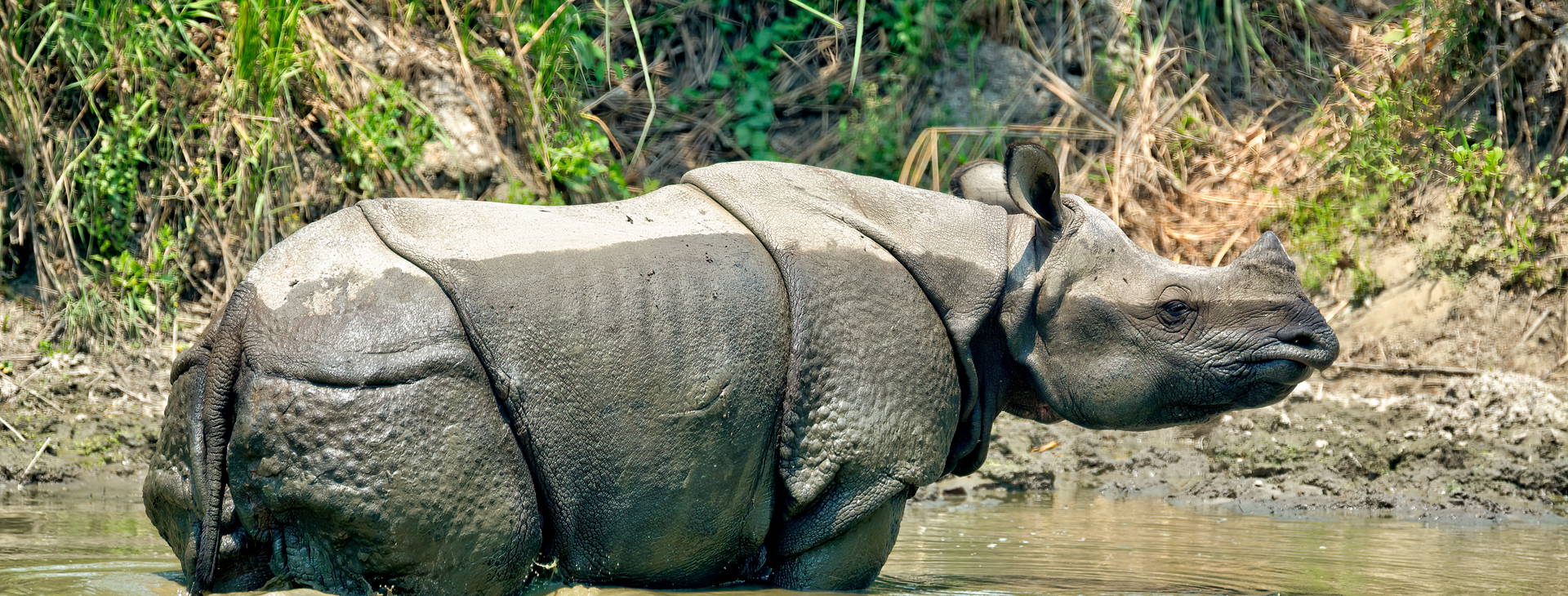 Ubytování INN Obrázek19