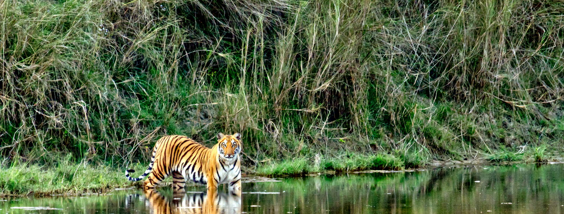 Ubytování INN Obrázek18