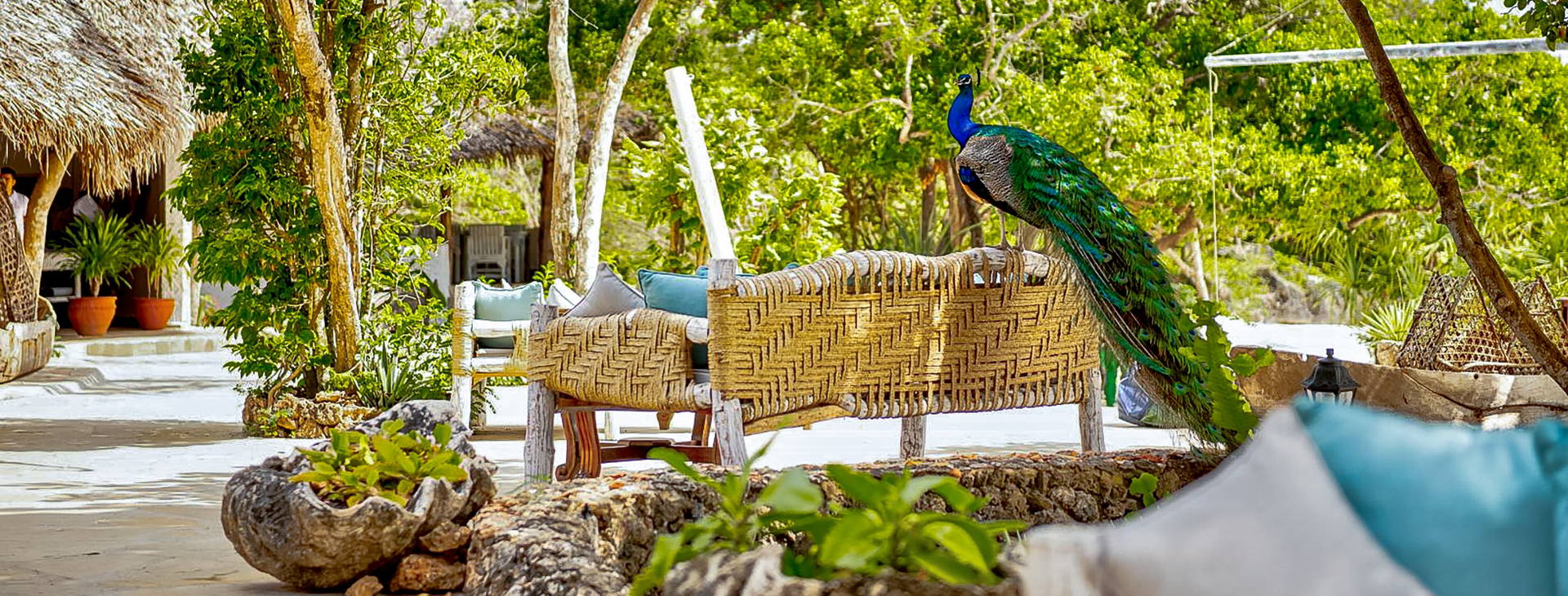 Chale Island Resort (4 noci + poznávací část 3 noci) Obrázek34