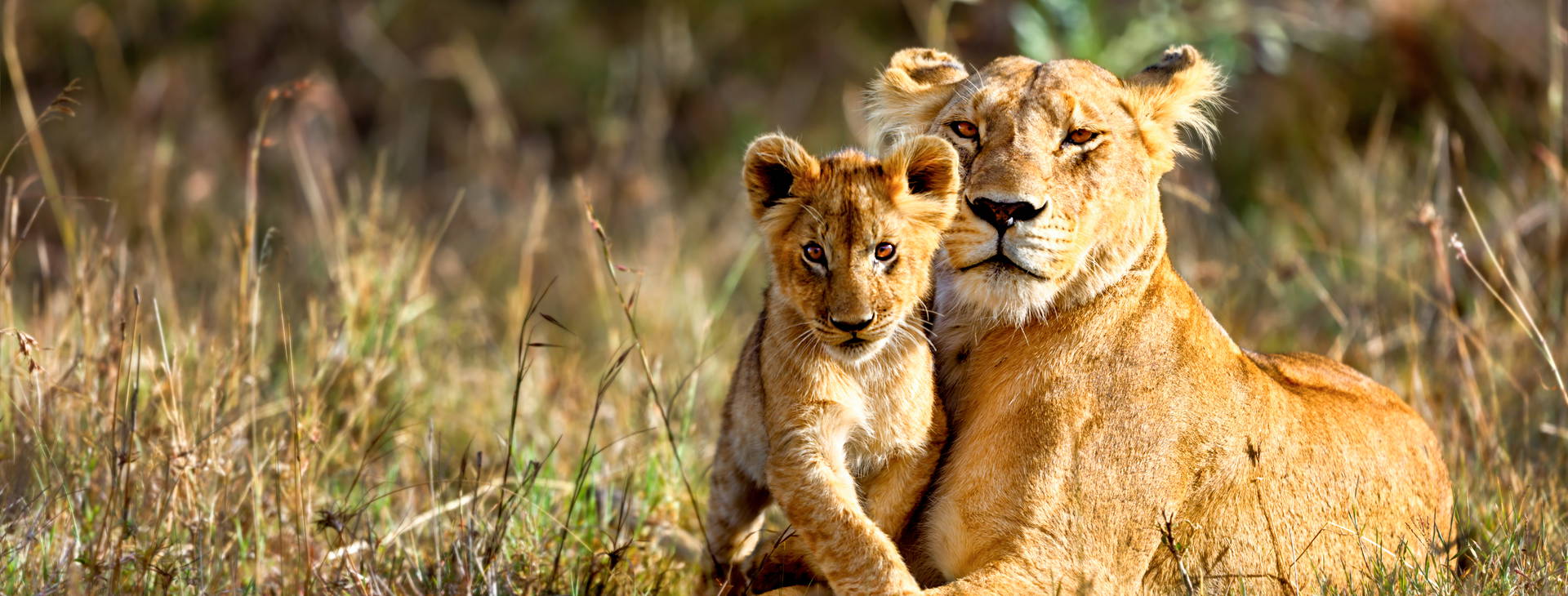 Baobab Beach Resort and Spa KST Obrázek5