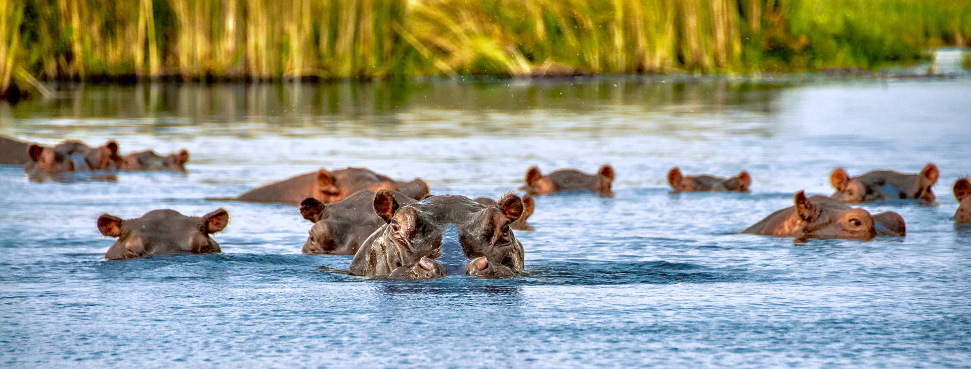 Baobab Beach Resort and Spa KST Obrázek8