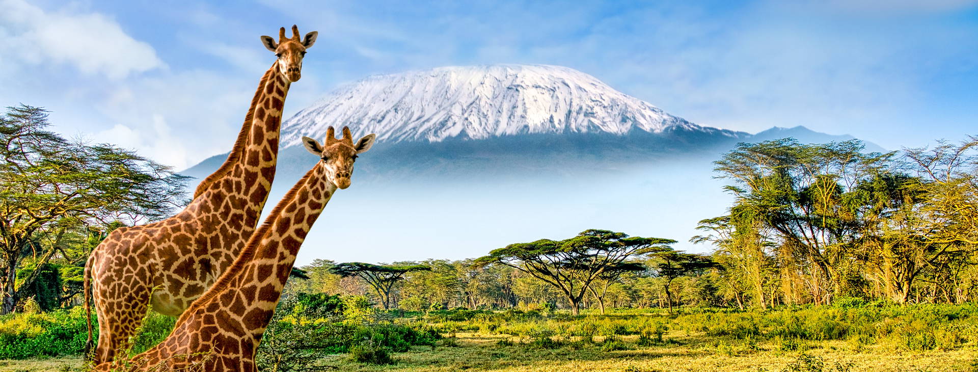 Baobab Beach Resort and Spa KST Obrázek2