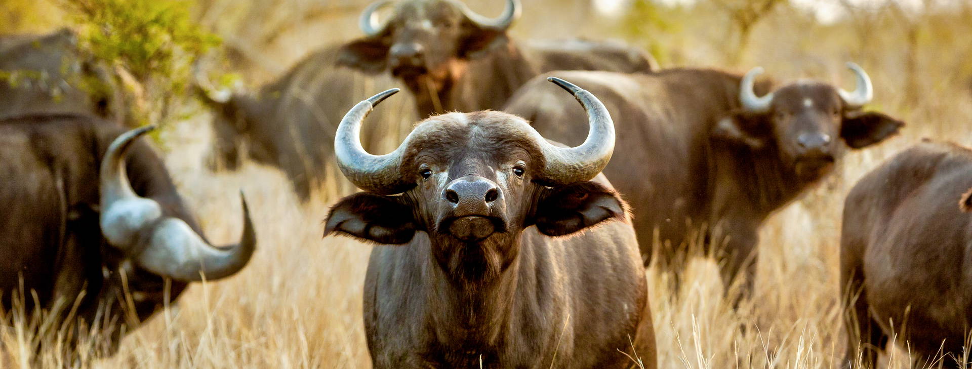 Baobab Beach Resort and Spa KSS Obrázek9