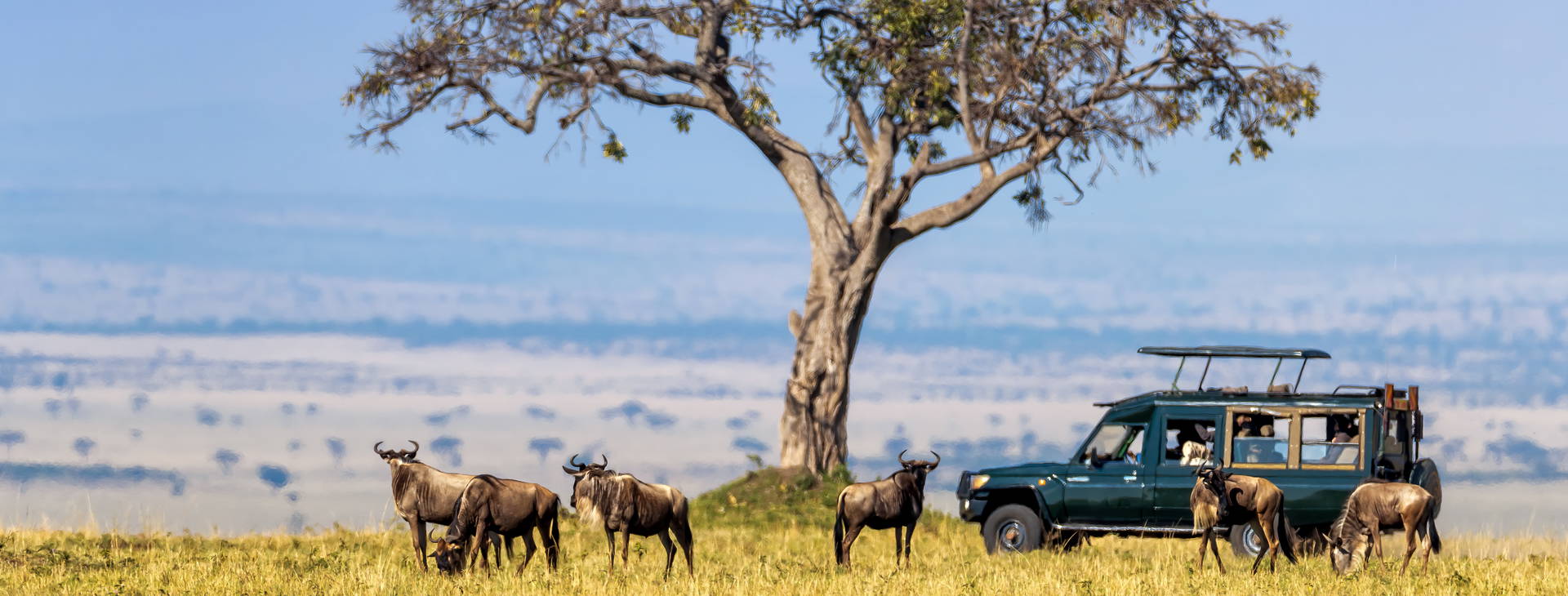 Baobab Beach Resort and Spa KSS Obrázek3