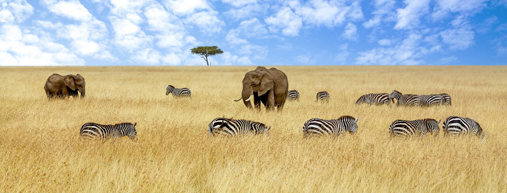 Bamburi Beach (4 noci + poznávací část 3 noci) Obrázek4