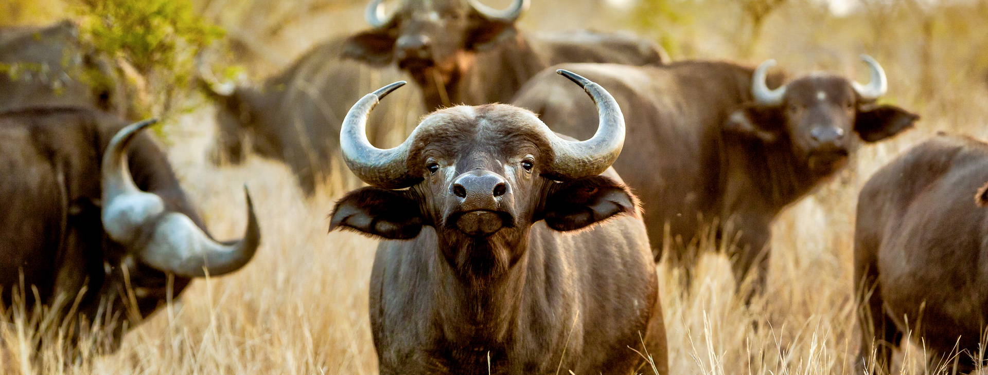 Bamburi Beach (4 noci + poznávací část 3 noci) Obrázek12