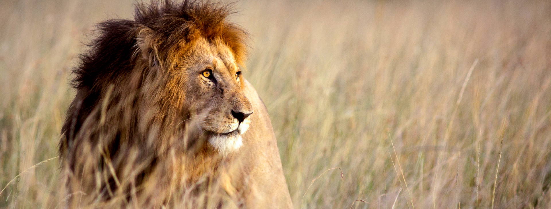 Bamburi Beach (4 noci + poznávací část 3 noci) Obrázek1