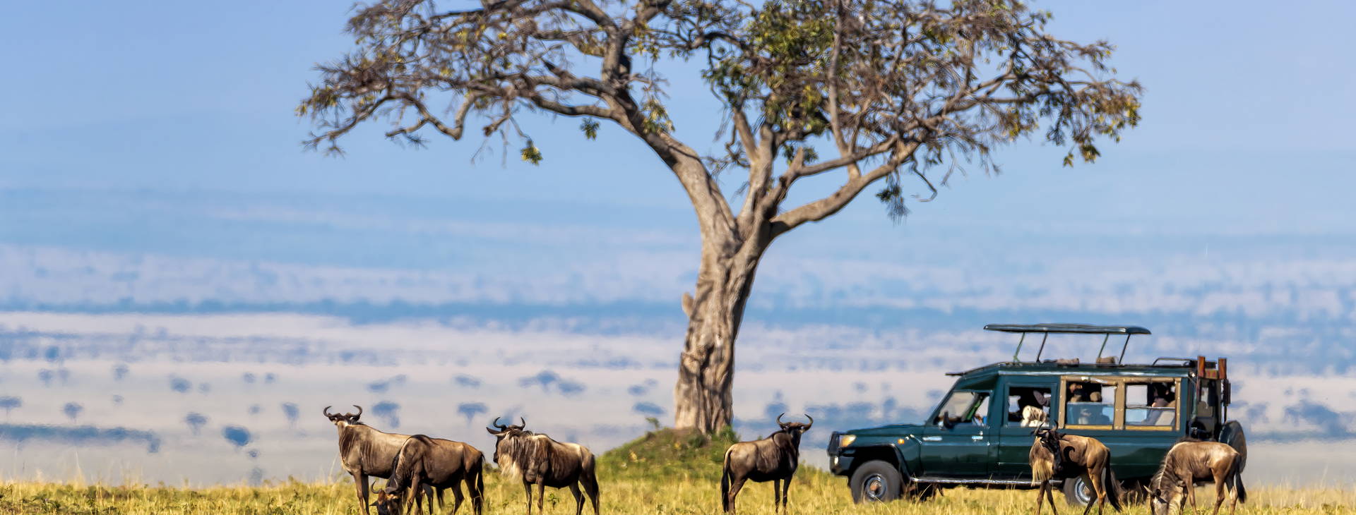 Bamburi Beach (4 noci + poznávací část 3 noci) Obrázek14