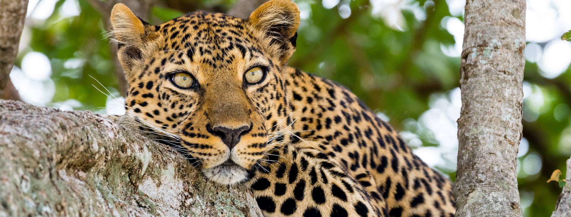 Bamburi Beach (3 noci + poznávací část 4 noci) Obrázek4