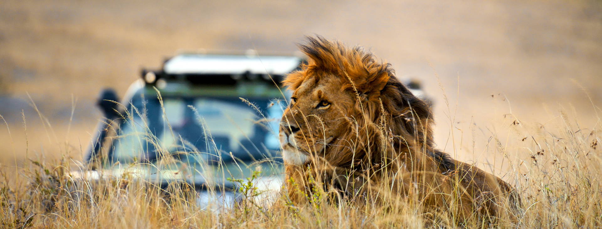 Bamburi Beach (3 noci + poznávací část 4 noci) Obrázek8