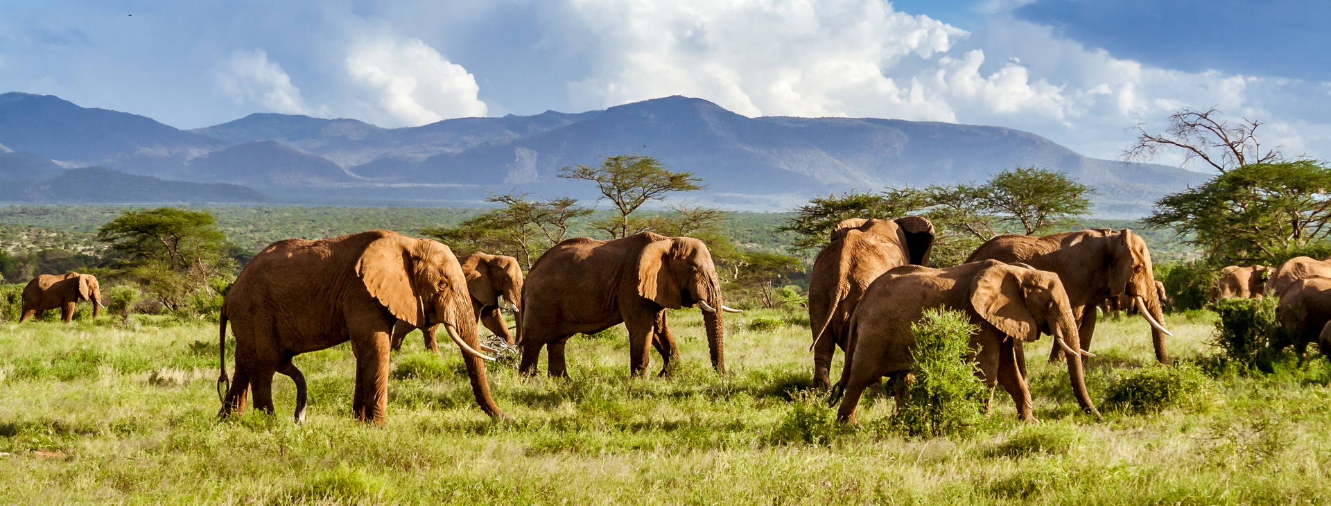 Bamburi Beach (3 noci + poznávací část 4 noci) Obrázek7