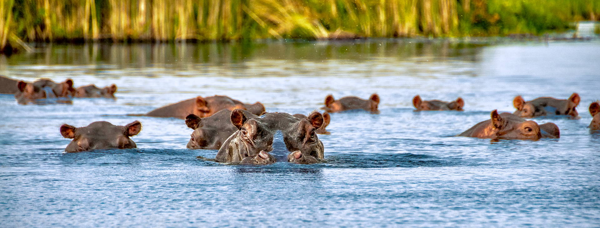Bamburi Beach (3 noci + poznávací část 4 noci) Obrázek9