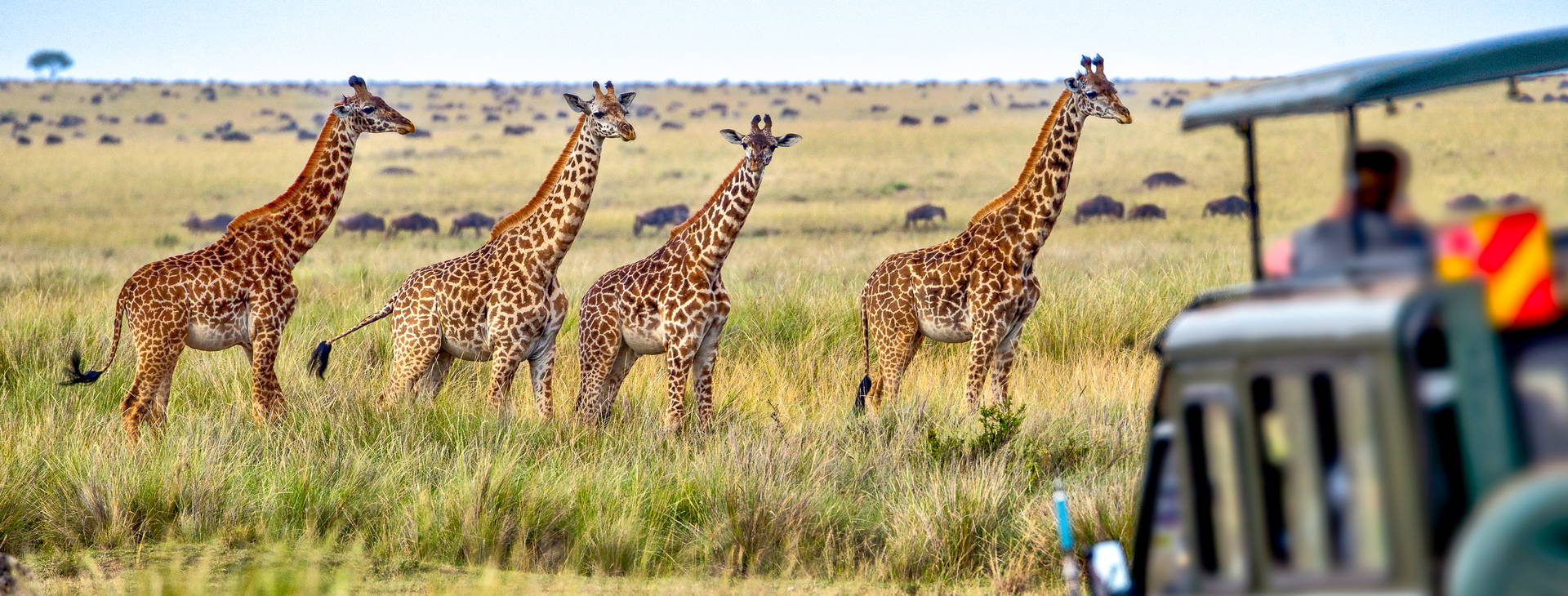 Bamburi Beach (3 noci + poznávací část 4 noci) Obrázek13