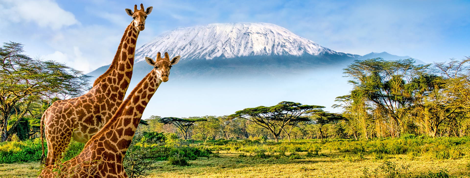 Bamburi Beach (3 noci + poznávací část 4 noci) Obrázek1