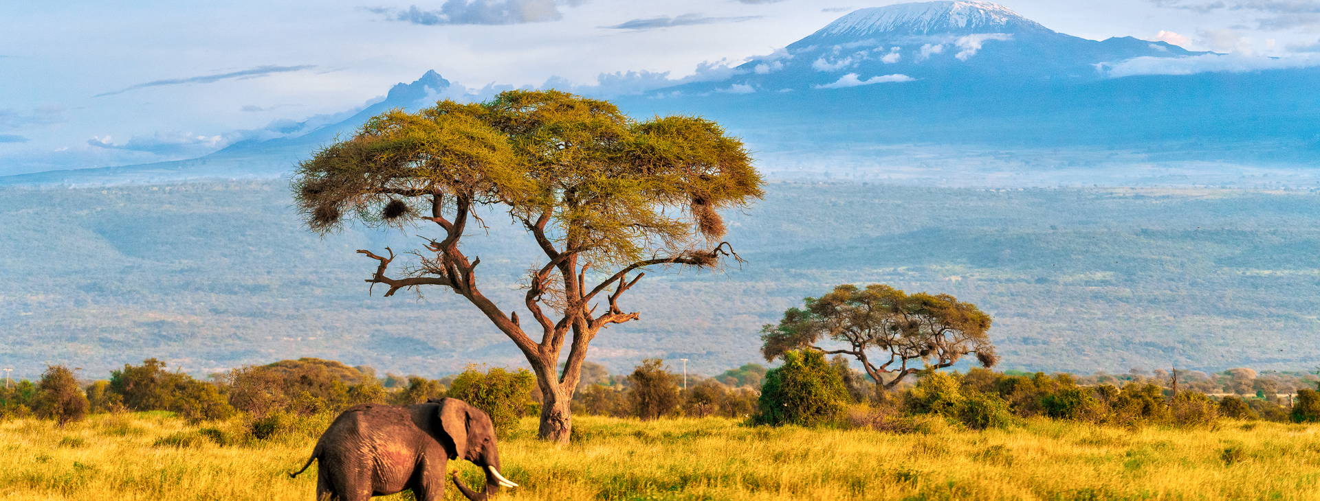 Bamburi Beach (3 noci + poznávací část 4 noci) Obrázek14