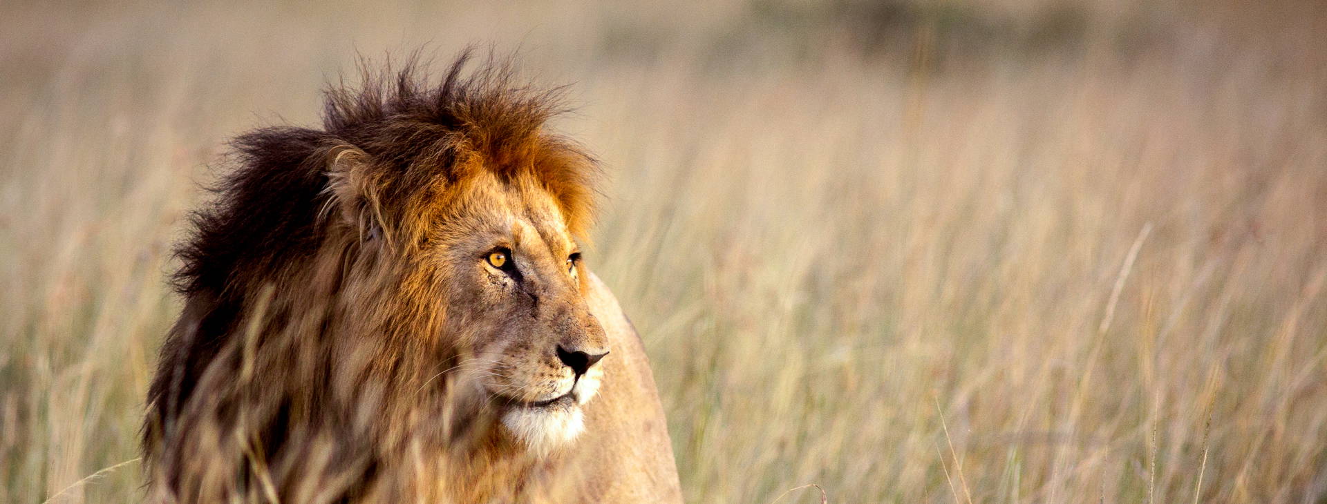 Chale Island Resort (4 noci + poznávací část 3 noci) Obrázek5