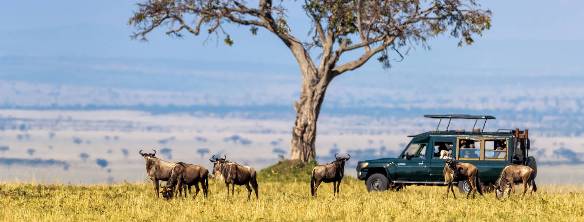 Chale Island Resort (4 noci + poznávací část 3 noci) Obrázek15