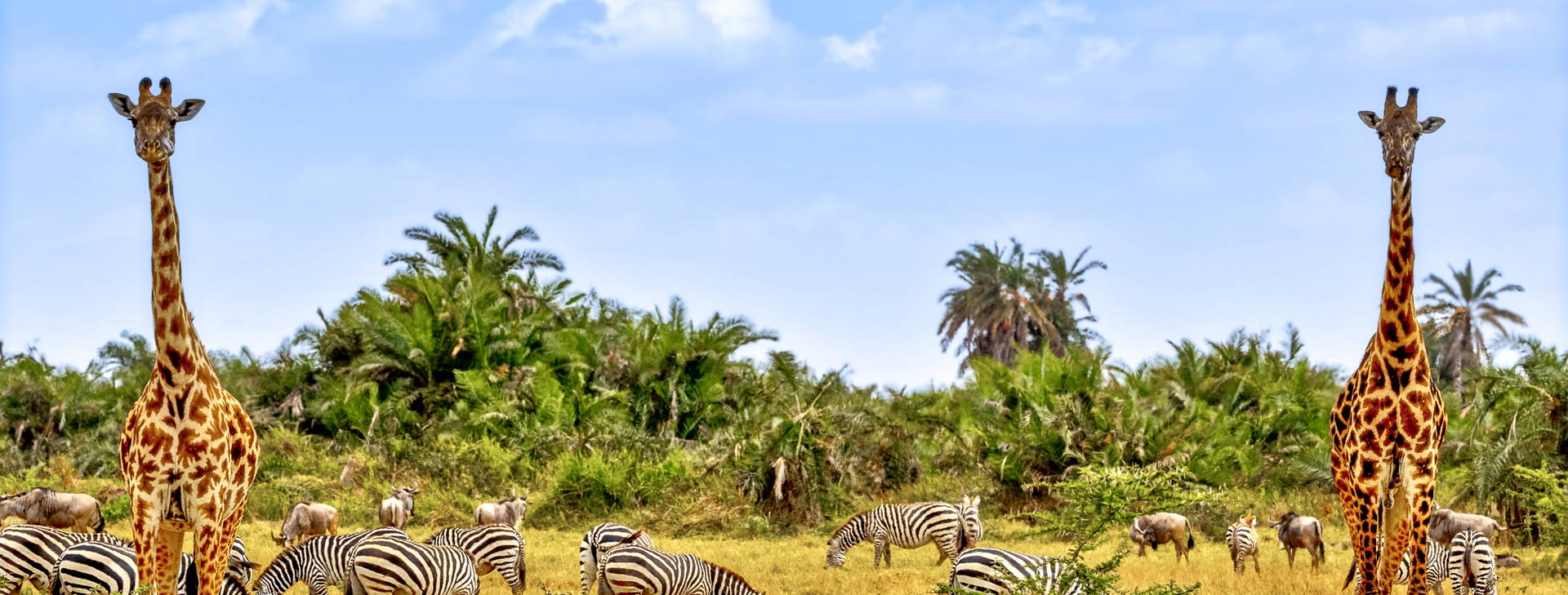 Bamburi Beach (3 noci + poznávací část 4 noci) Obrázek2