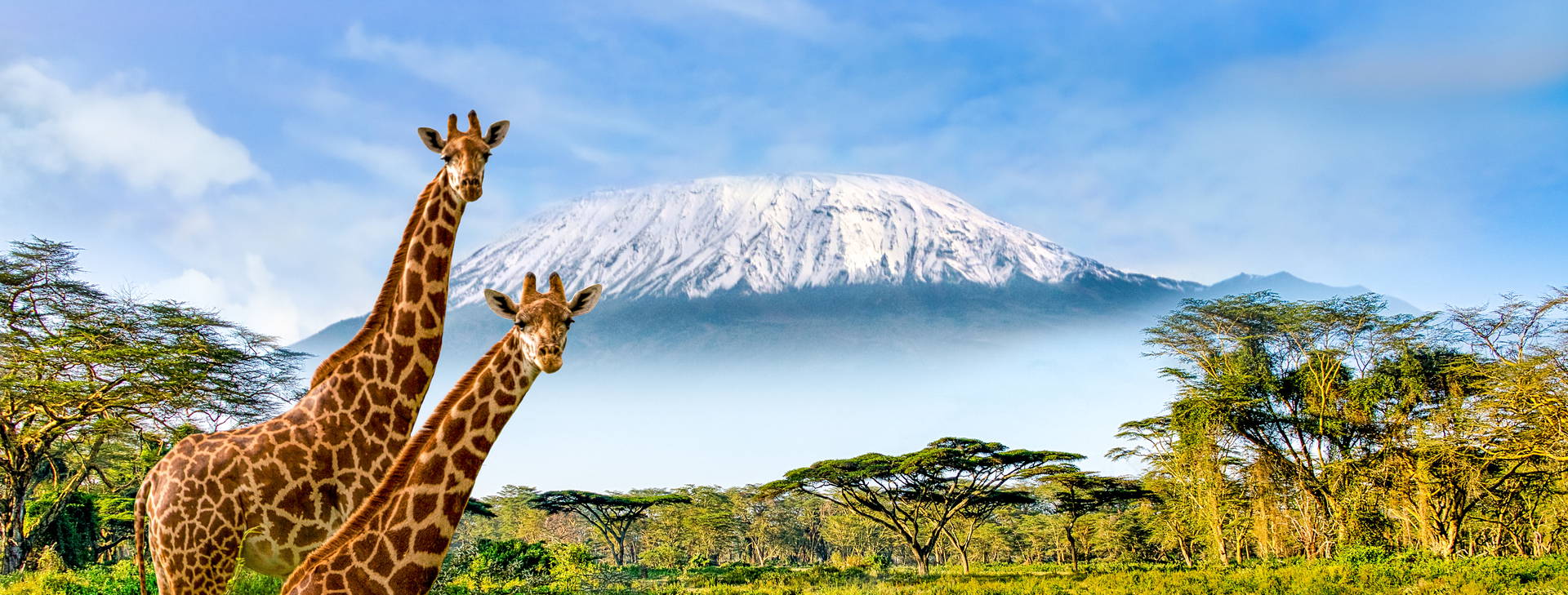 Chale Island Resort (3 noci + poznávací část 4 noci) Obrázek15