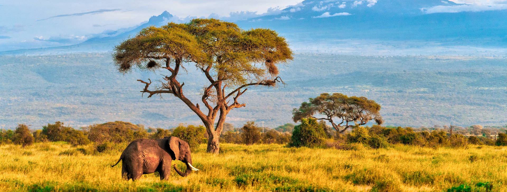 Chale Island Resort (3 noci + poznávací část 4 noci) Obrázek2