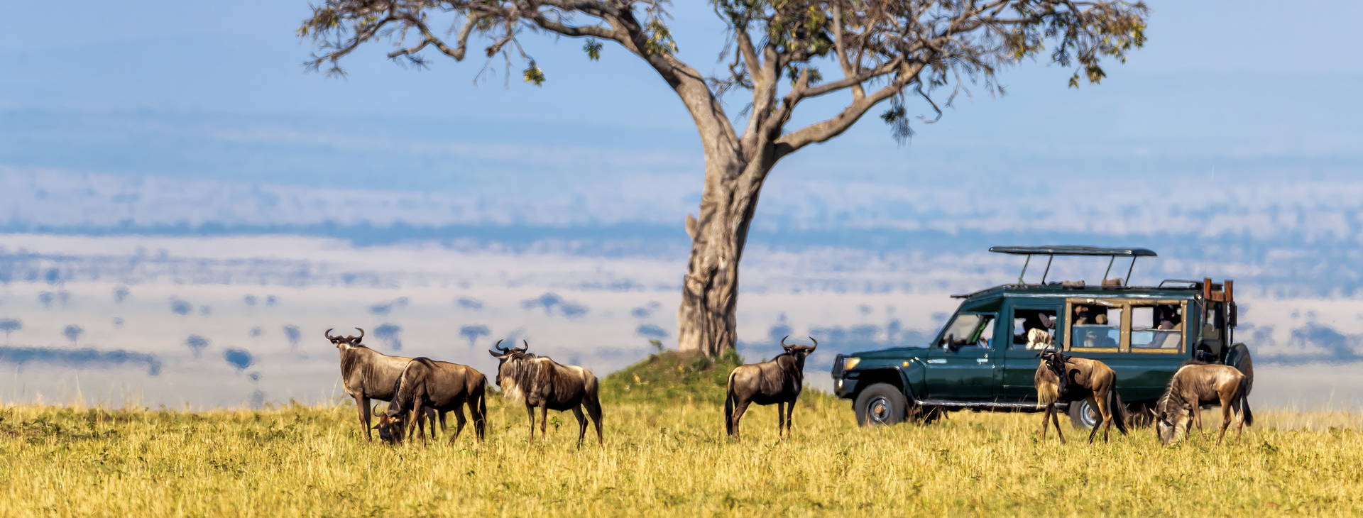 Diani Sea Lodge (4 noci + poznávací část 3 noci) Obrázek12