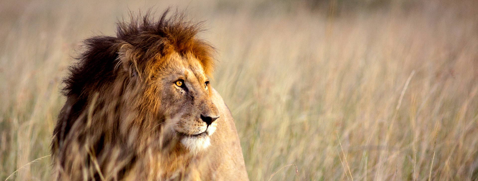 Diani Sea Lodge (4 noci + poznávací část 3 noci) Obrázek6