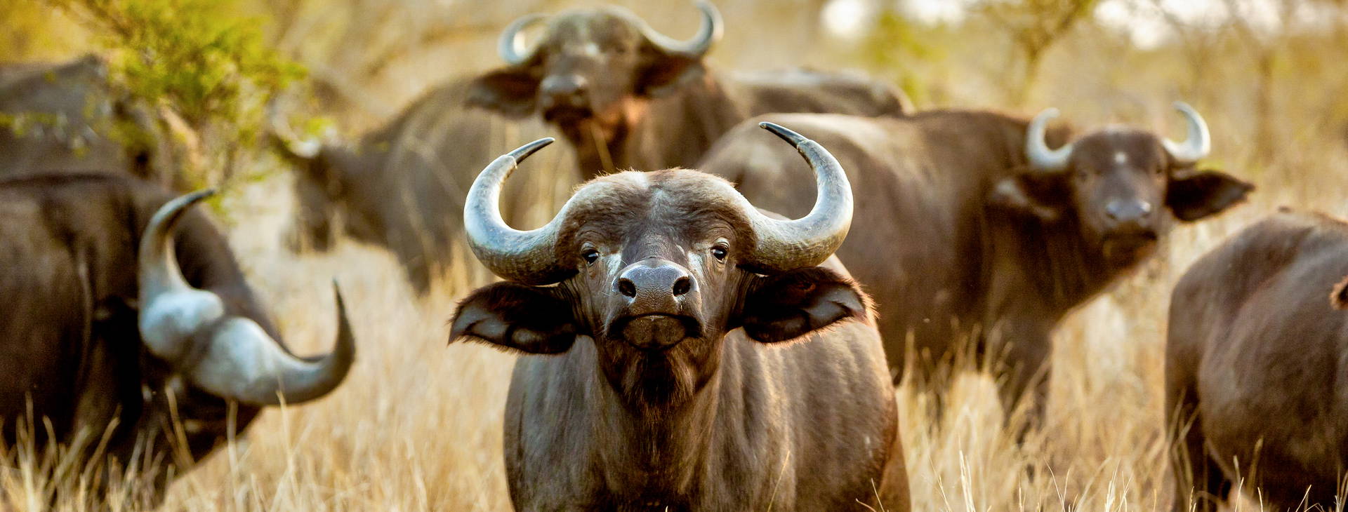 Diani Sea Lodge (4 noci + poznávací část 3 noci) Obrázek15