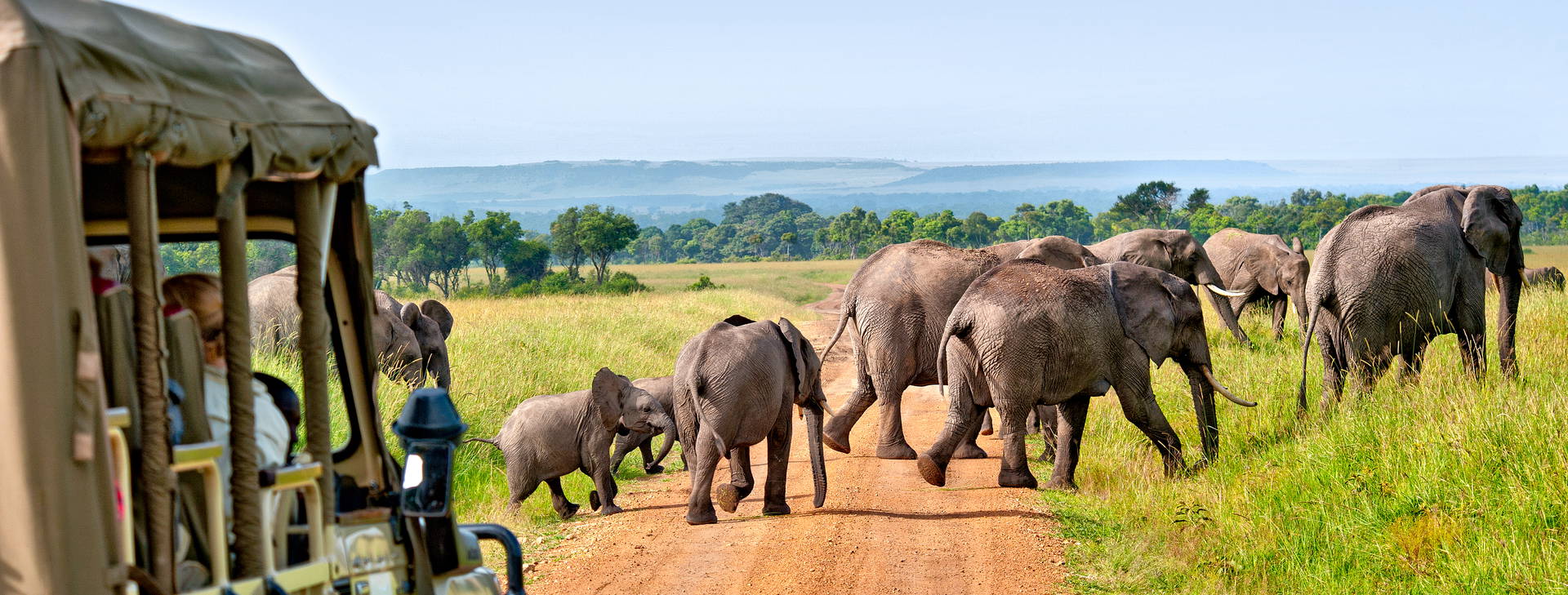 Diani Sea Lodge (4 noci + poznávací část 3 noci) Obrázek2