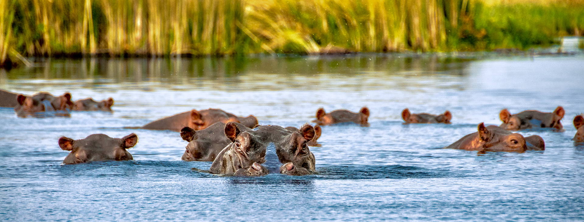Diani Sea Lodge (3 noci + poznávací část 4 noci) Obrázek4