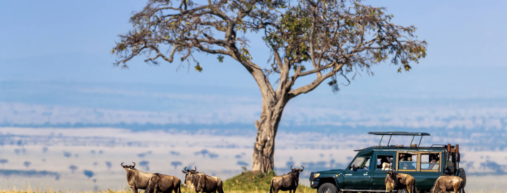 Diani Sea Resort (4 noci + poznávací část 3 noci) Obrázek9
