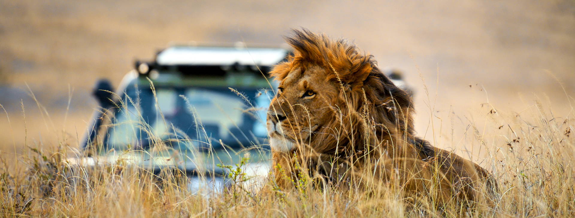 Diani Sea Resort (3 noci + poznávací část 4 noci) Obrázek2
