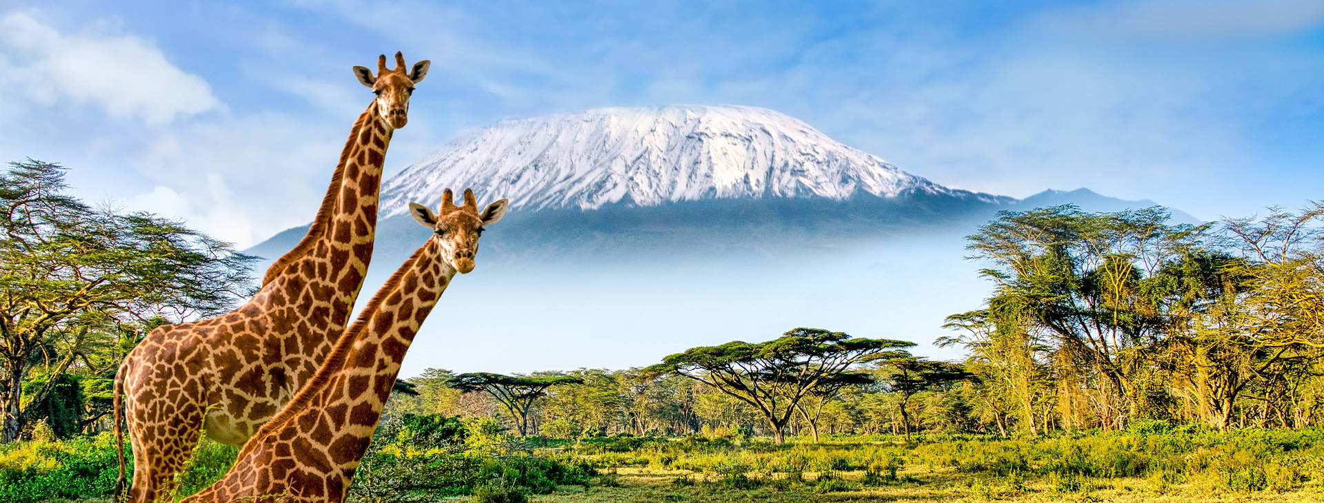 Diani Sea Resort (3 noci + poznávací část 4 noci) Obrázek7