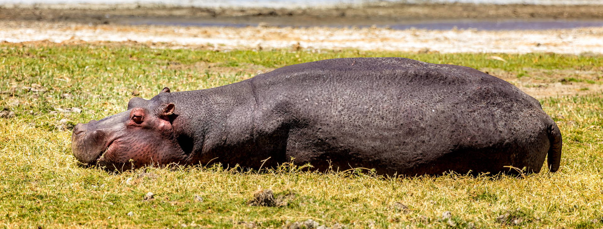Diani Sea Resort (3 noci + poznávací část 4 noci) Obrázek8