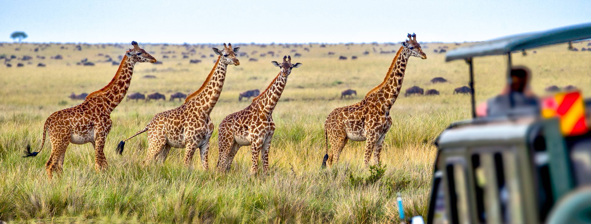 Diani Sea Resort (3 noci + poznávací část 4 noci) Obrázek9