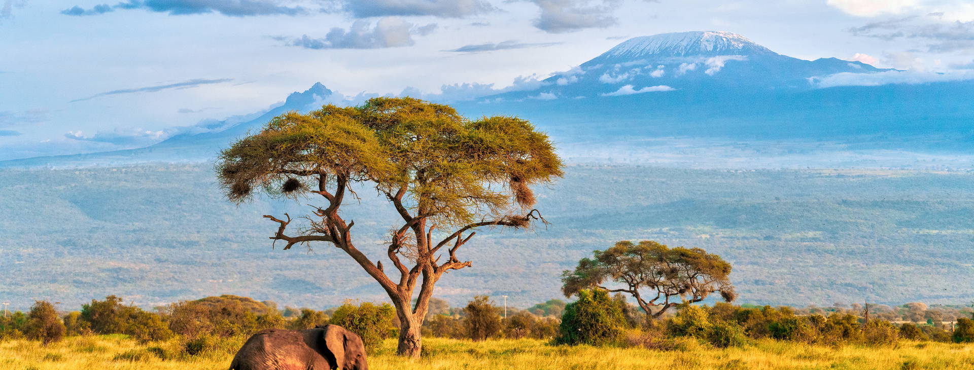 Diani Sea Resort (3 noci + poznávací část 4 noci) Obrázek15