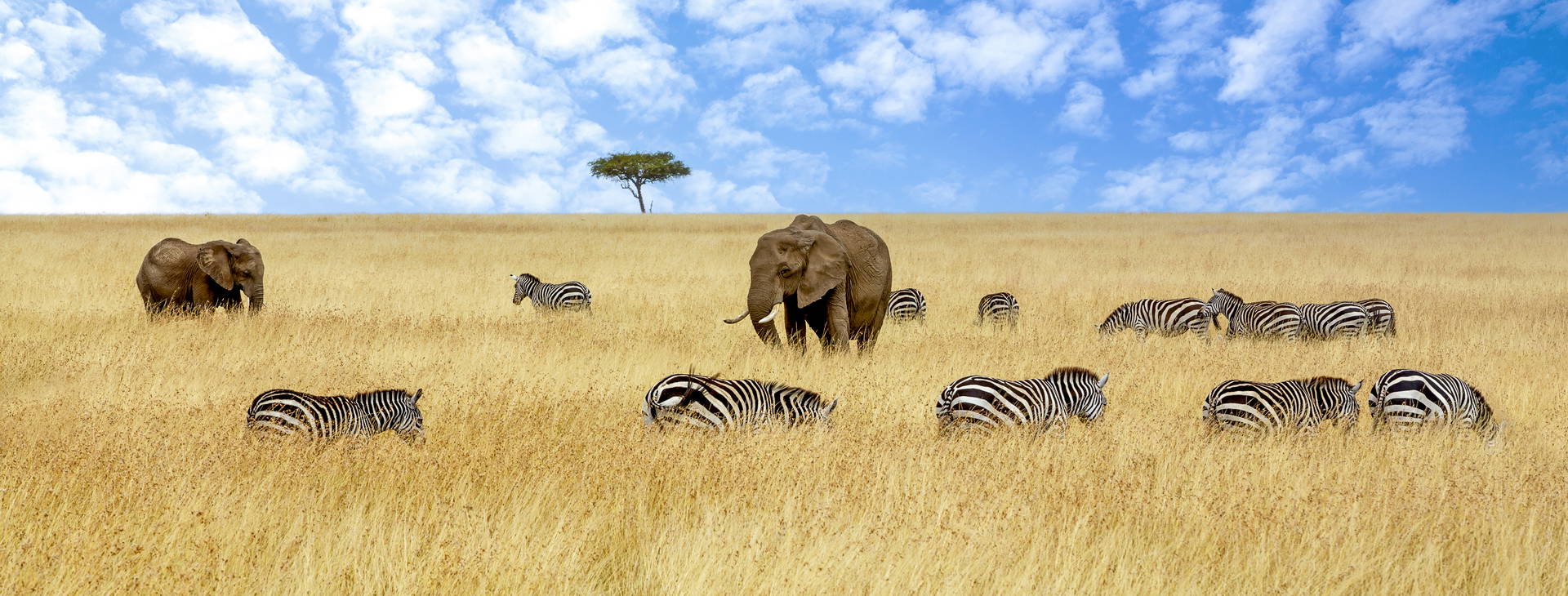 Kenya Bay (4 noci + poznávací část 3 noci) Obrázek12