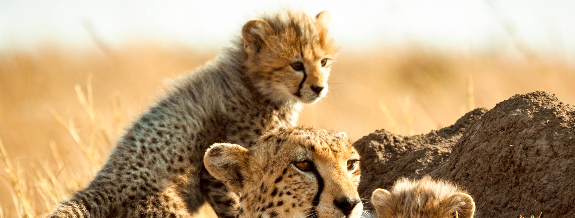 Kenya Bay (4 noci + poznávací část 3 noci) Obrázek16