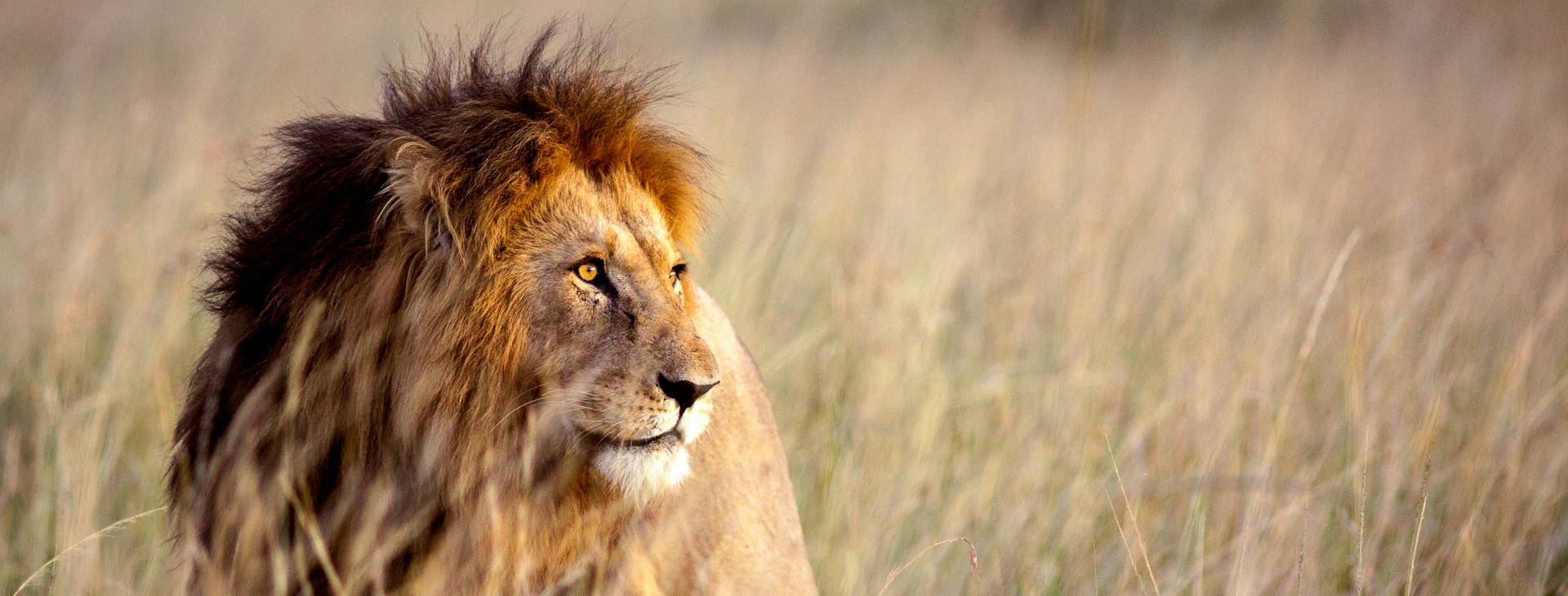 Kenya Bay (4 noci + poznávací část 3 noci) Obrázek15