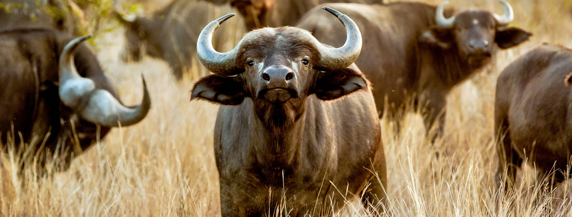 Kenya Bay (4 noci + poznávací část 3 noci) Obrázek23