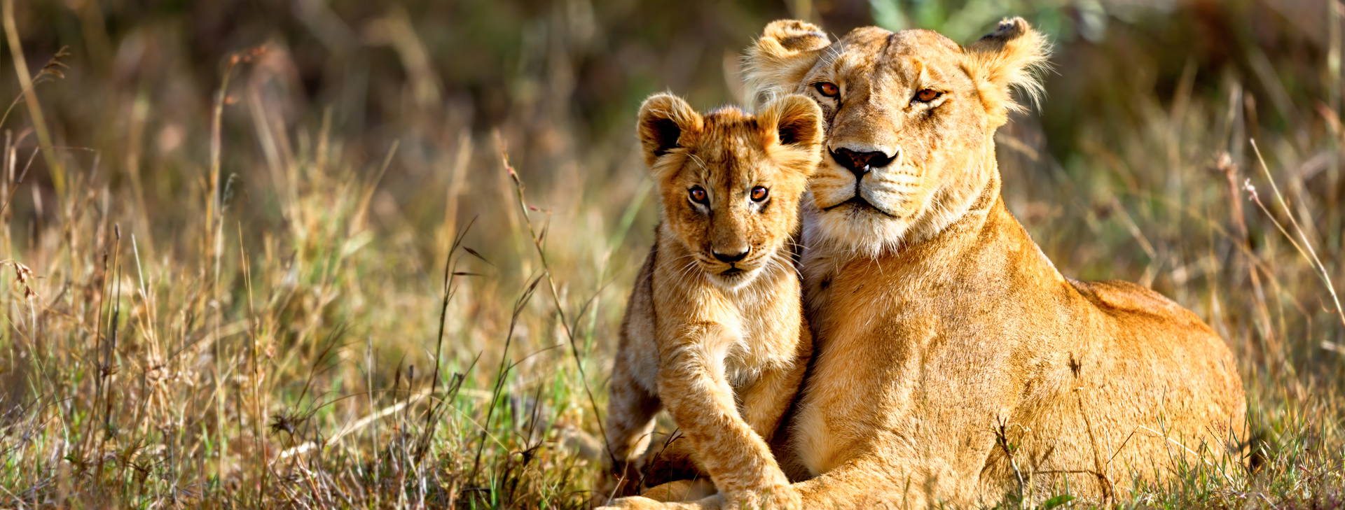 Kenya Bay (3 noci + poznávací část 4 noci) Obrázek15