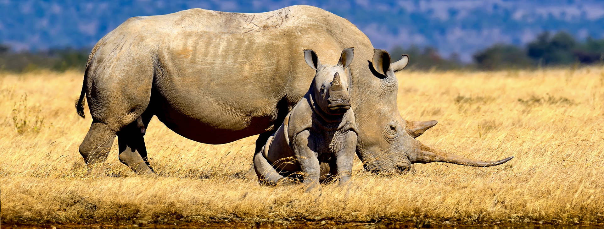 Kenya Bay (4 noci + poznávací část 3 noci) Obrázek11