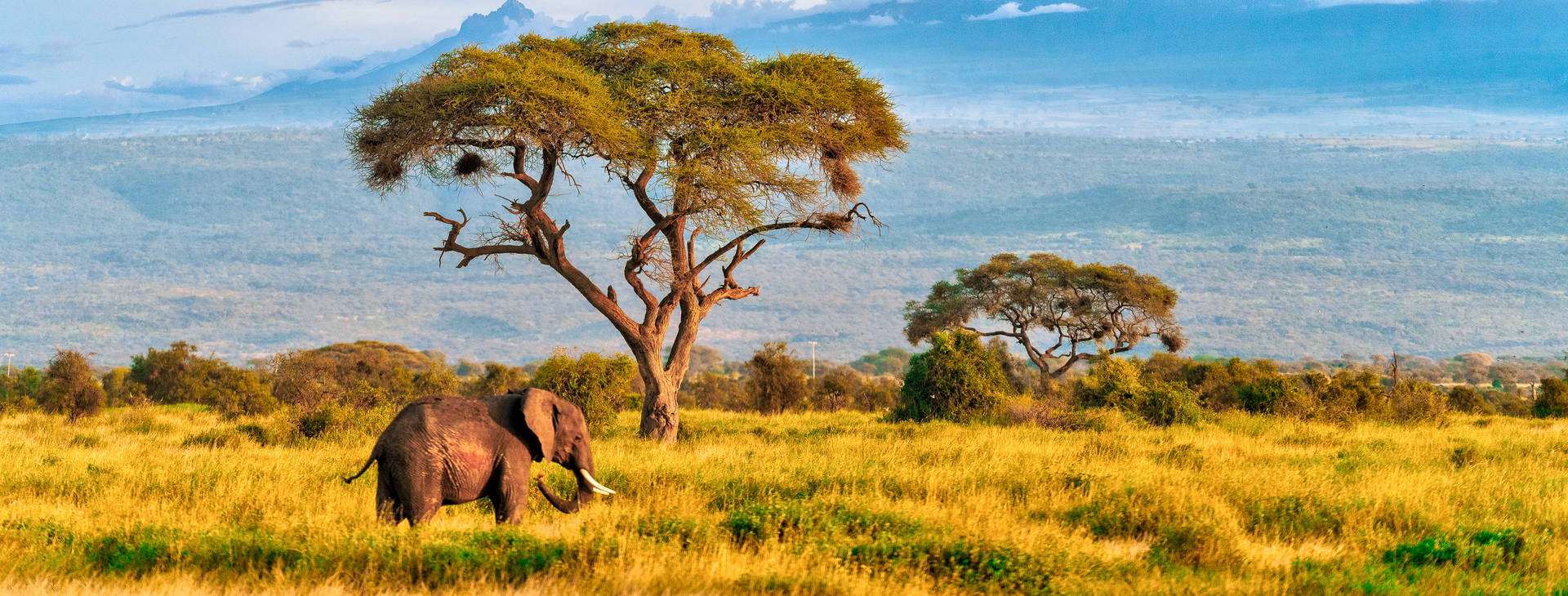 Kenya Bay (3 noci + poznávací část 4 noci) Obrázek16