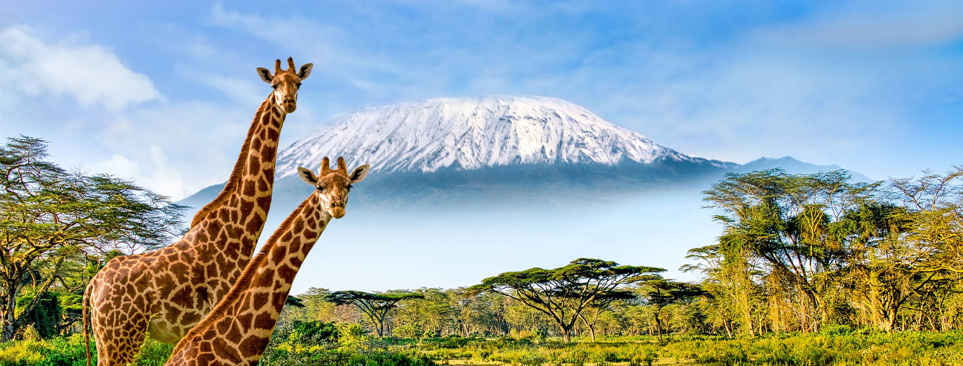 Kenya Bay (3 noci + poznávací část 4 noci) Obrázek18