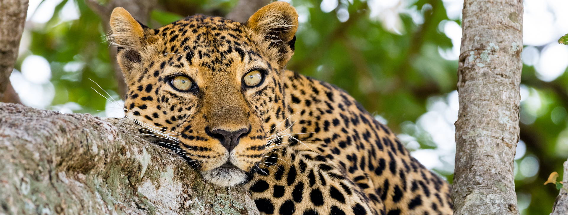 Kenya Bay (3 noci + poznávací část 4 noci) Obrázek11