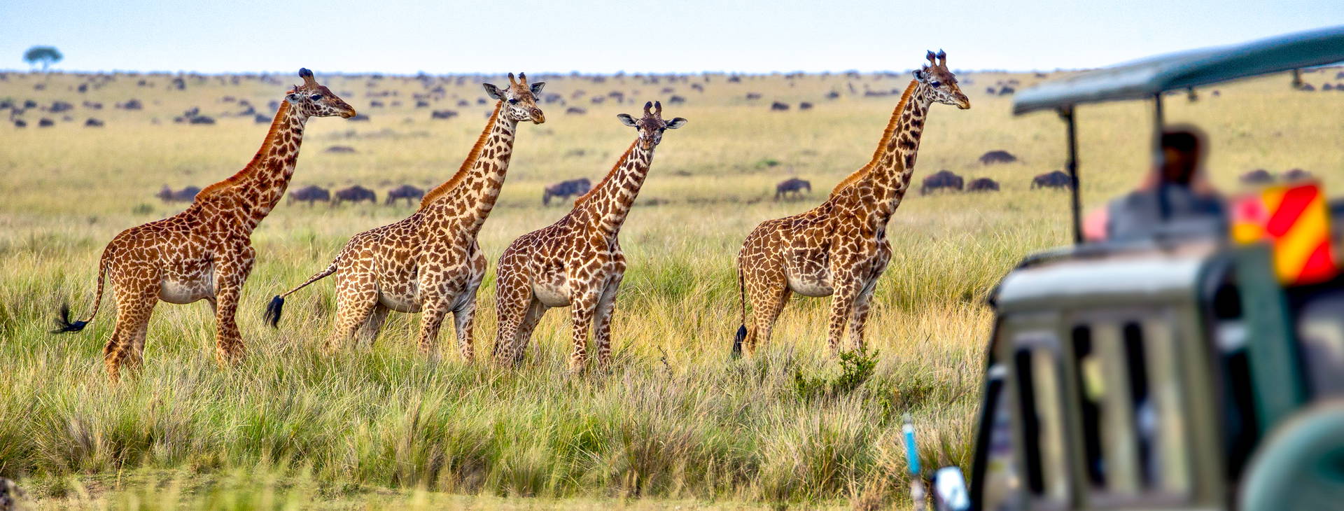 Kenya Bay (3 noci + poznávací část 4 noci) Obrázek12