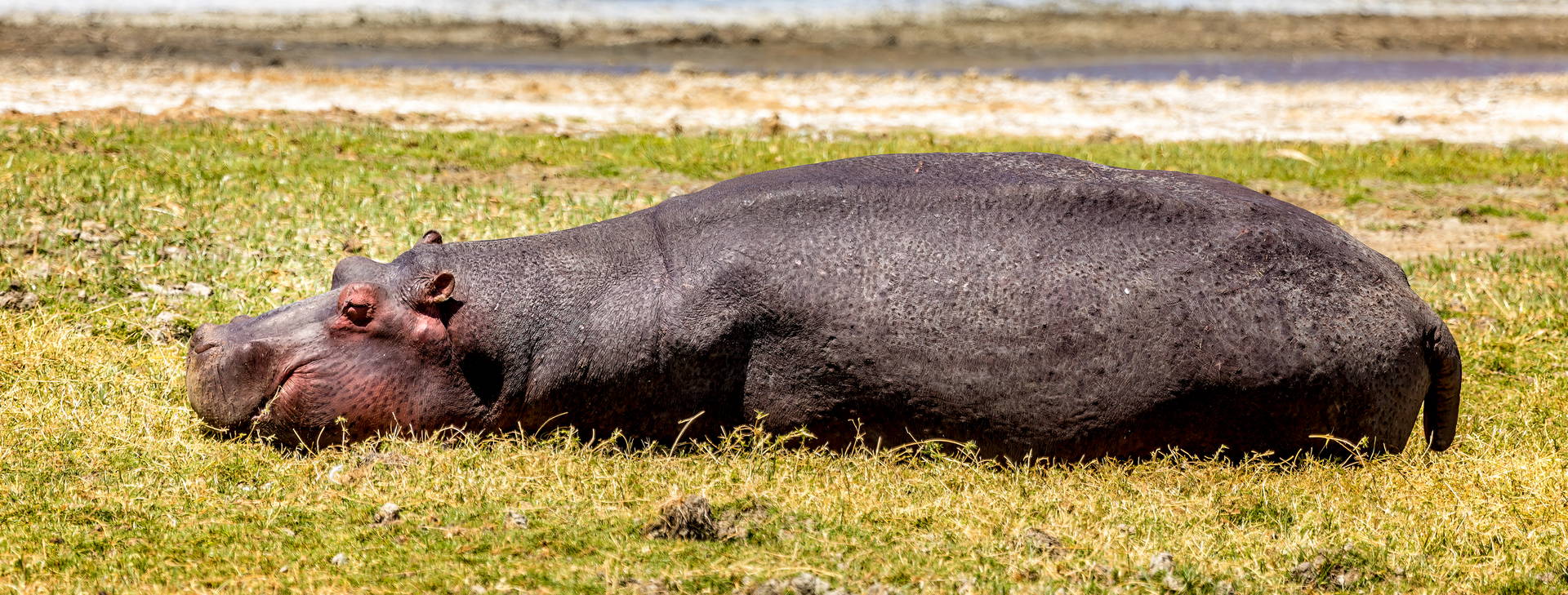 Kenya Bay (3 noci + poznávací část 4 noci) Obrázek10