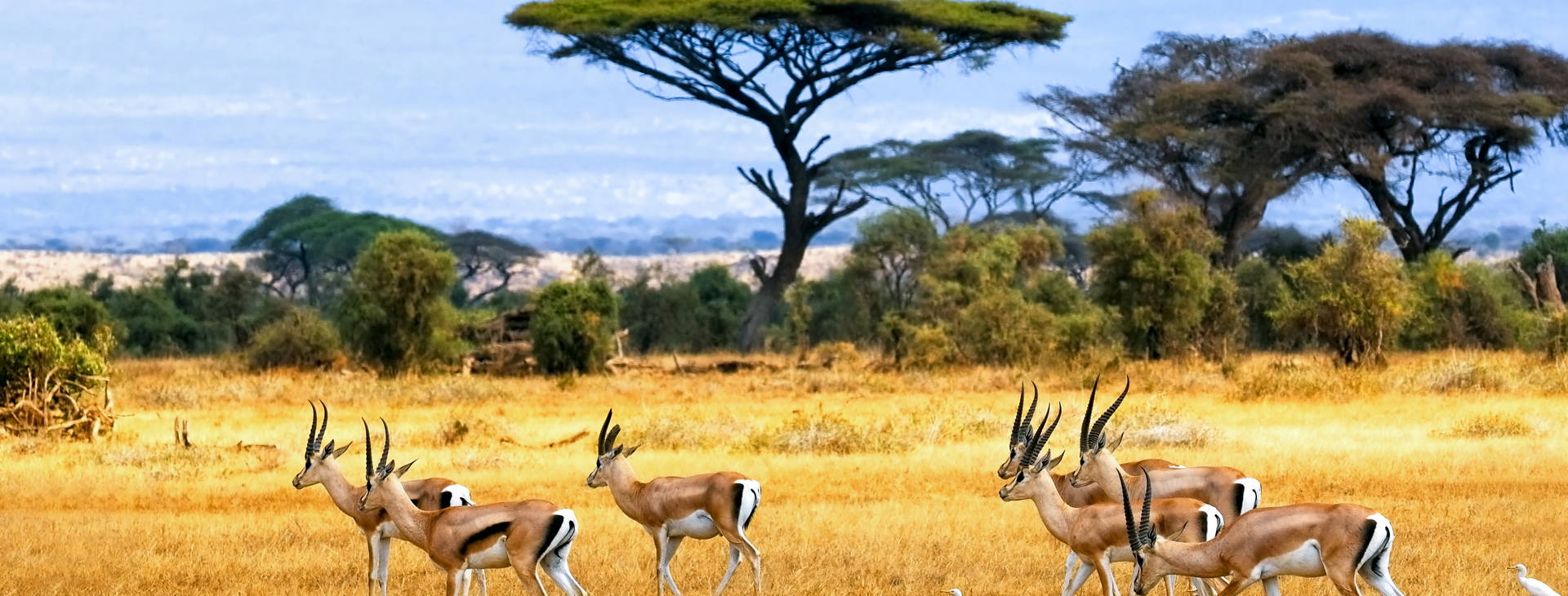 Kenya Bay (3 noci + poznávací část 4 noci) Obrázek8