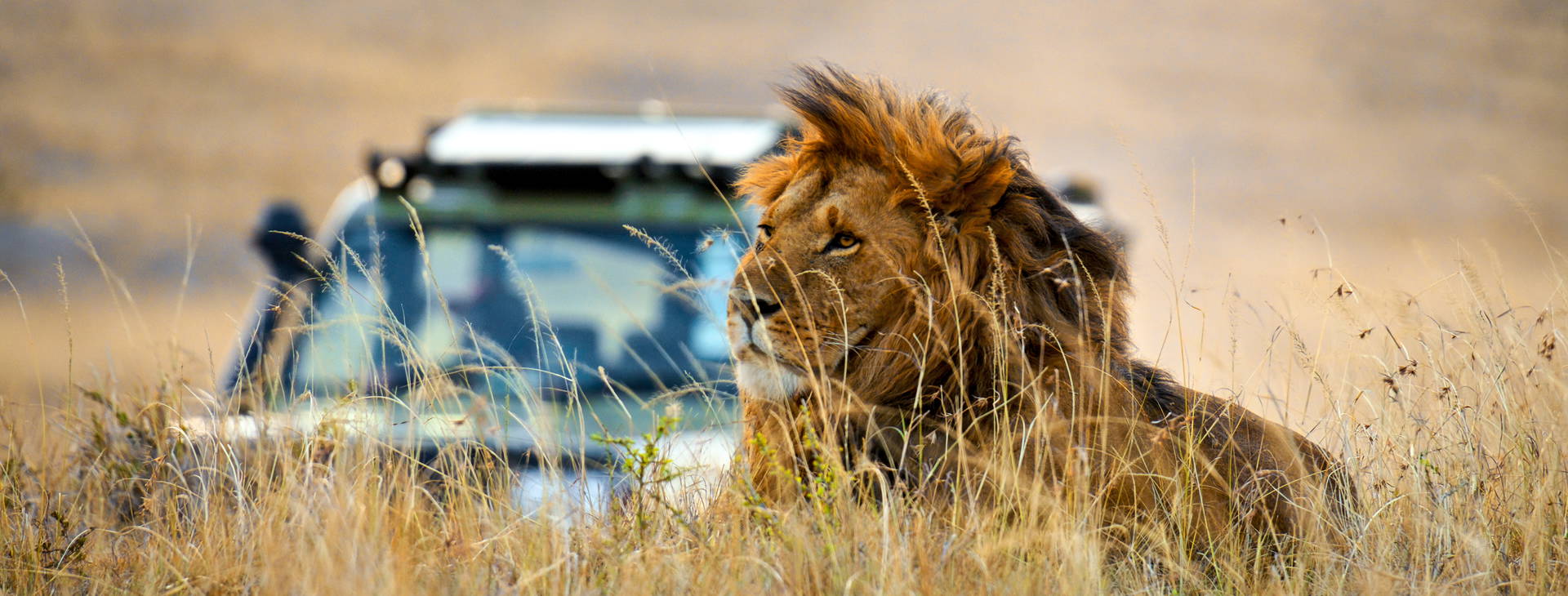 Leopard Beach Resort & SPA KST Obrázek6