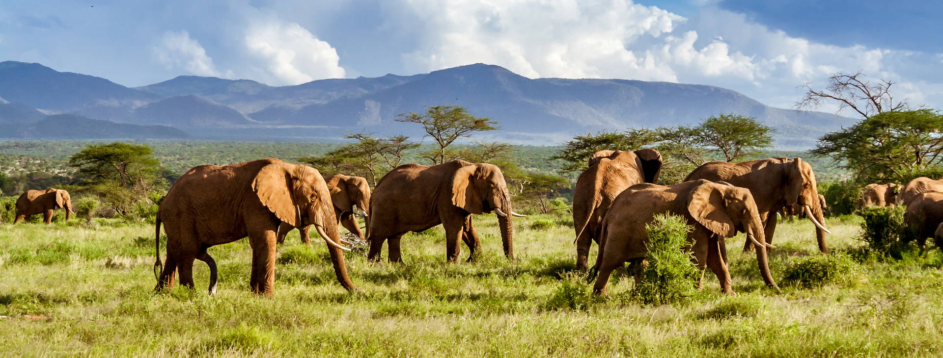 Leopard Beach Resort & SPA KST Obrázek8